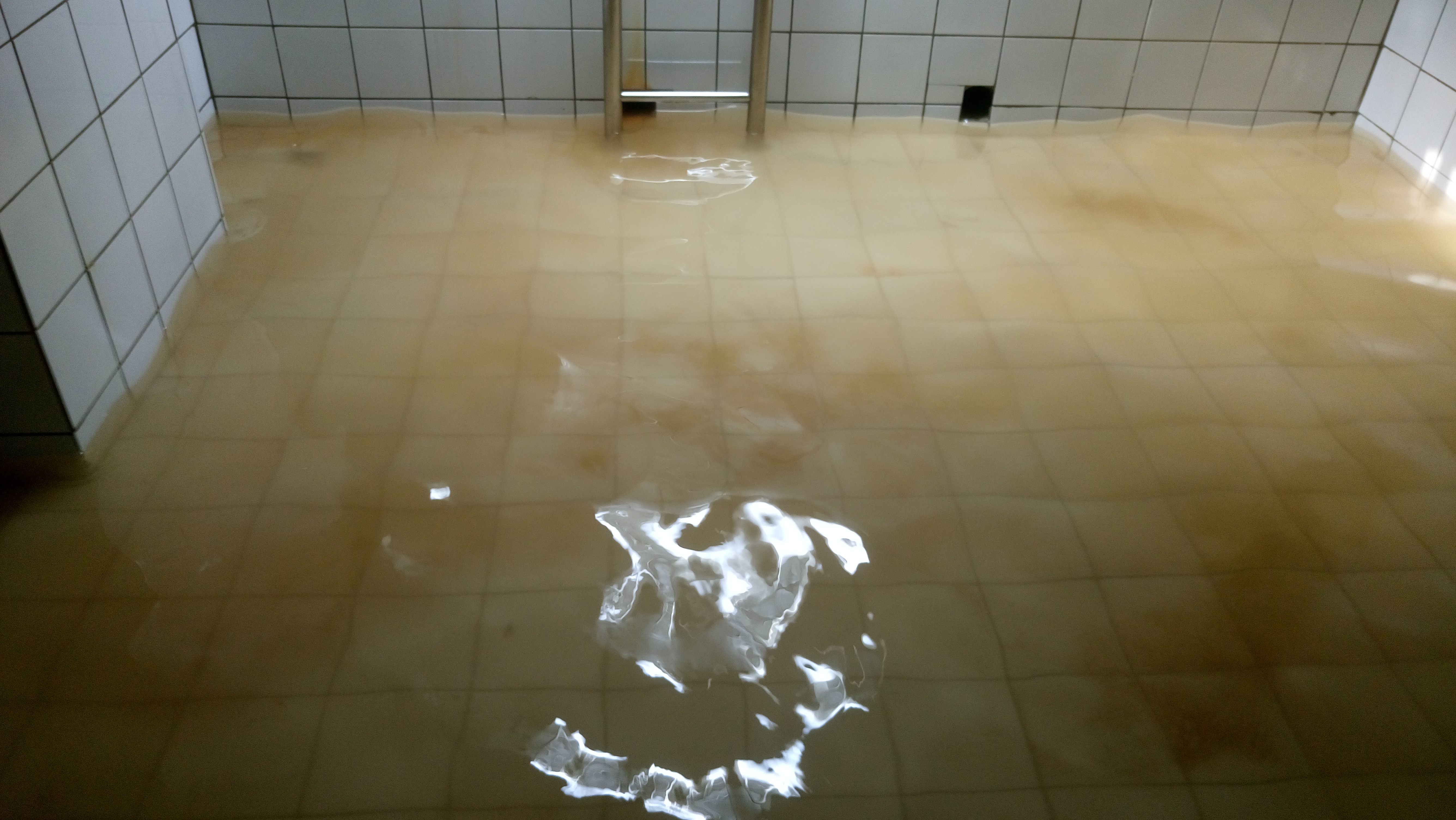 化糞池抽取前後1-1