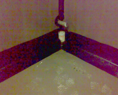 黃頁大鋼_16660_image033.png