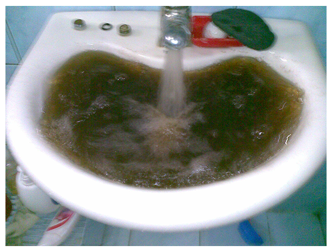 image003.png