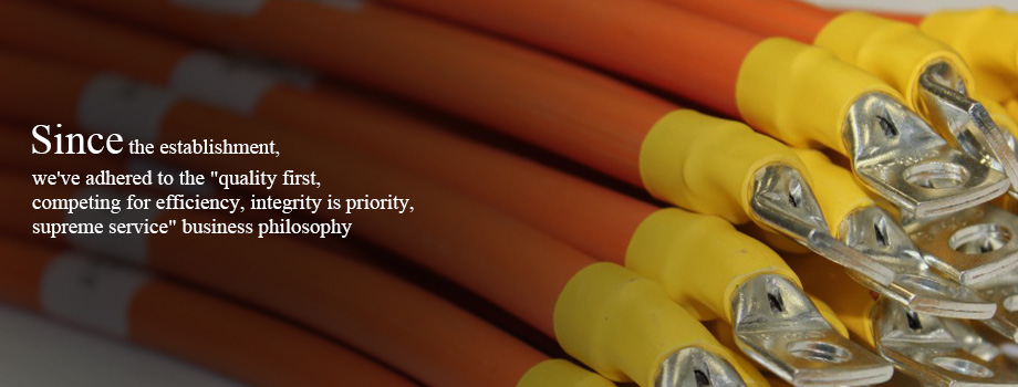 惟欣有限公司 Automobile,Energy & Storage,Robot & IOT,Sensor Module