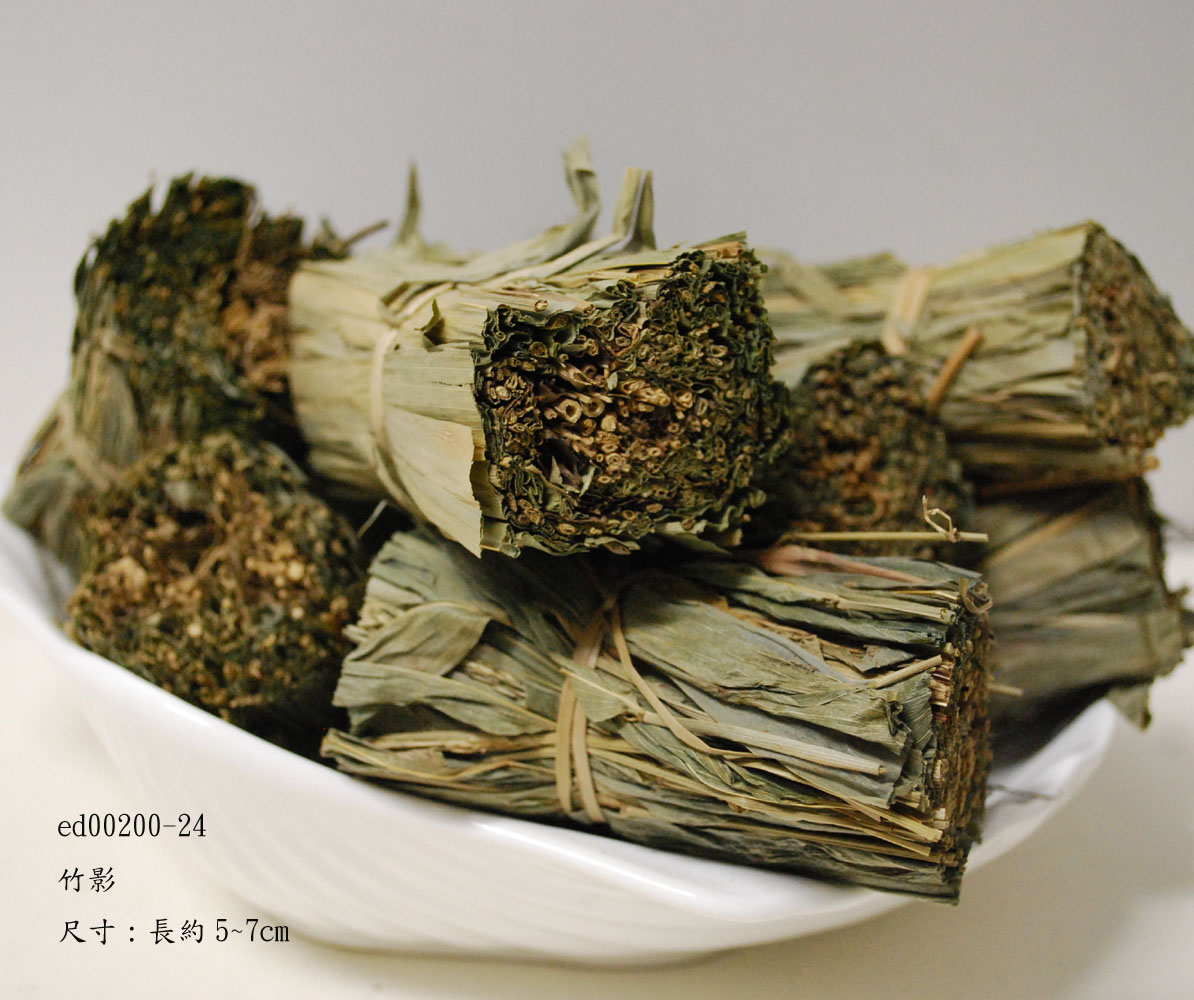 竹影 (2).JPG