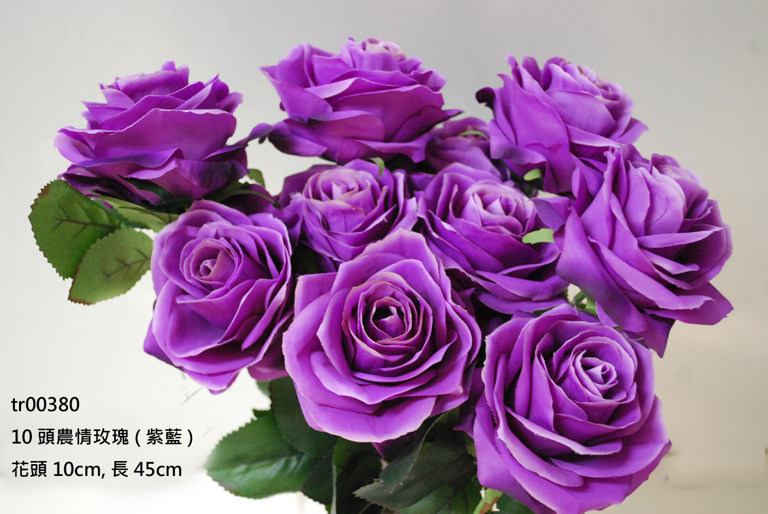 10頭濃情玫瑰(紫藍).jpg