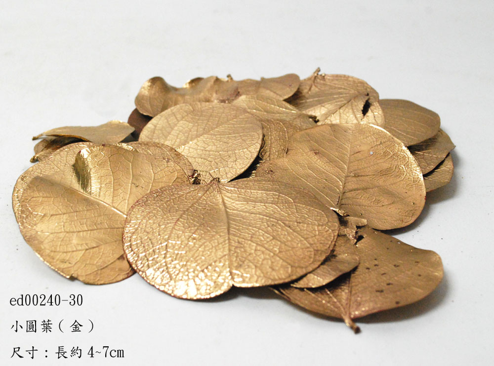 小圓葉 (金).JPG