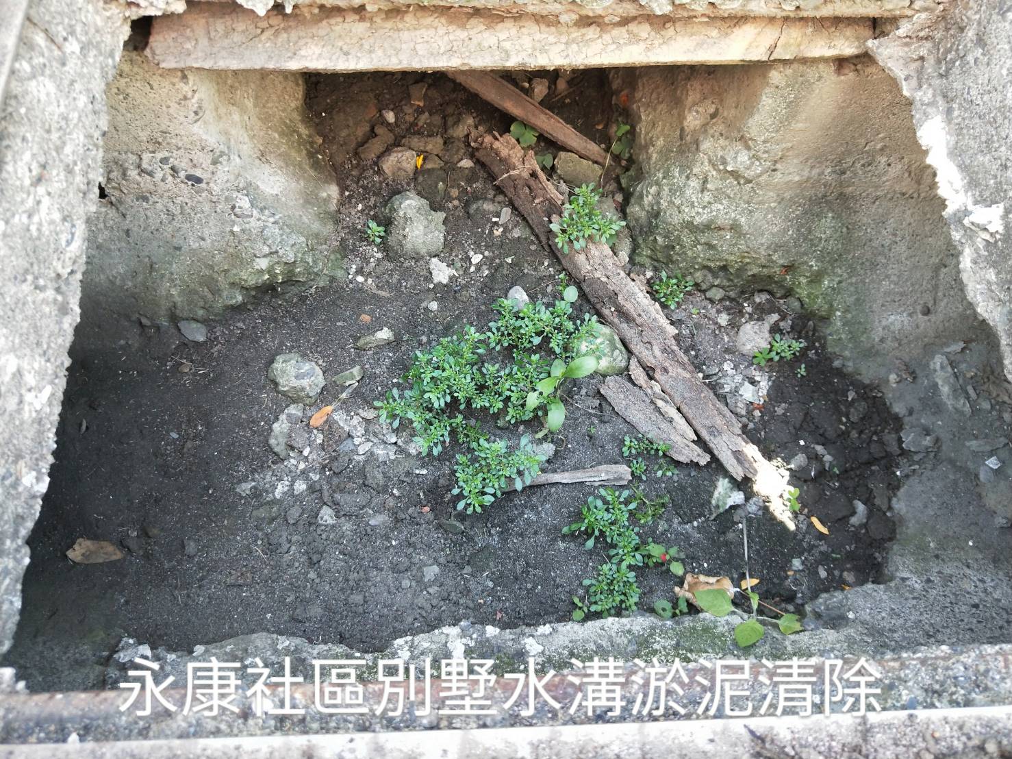 永康社區別墅水溝淤泥清除前-1 (1).jpg