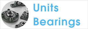 Units-Bearings.png