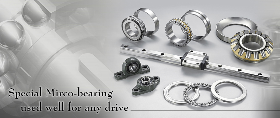 Pi Wang Bearings Co., Ltd.