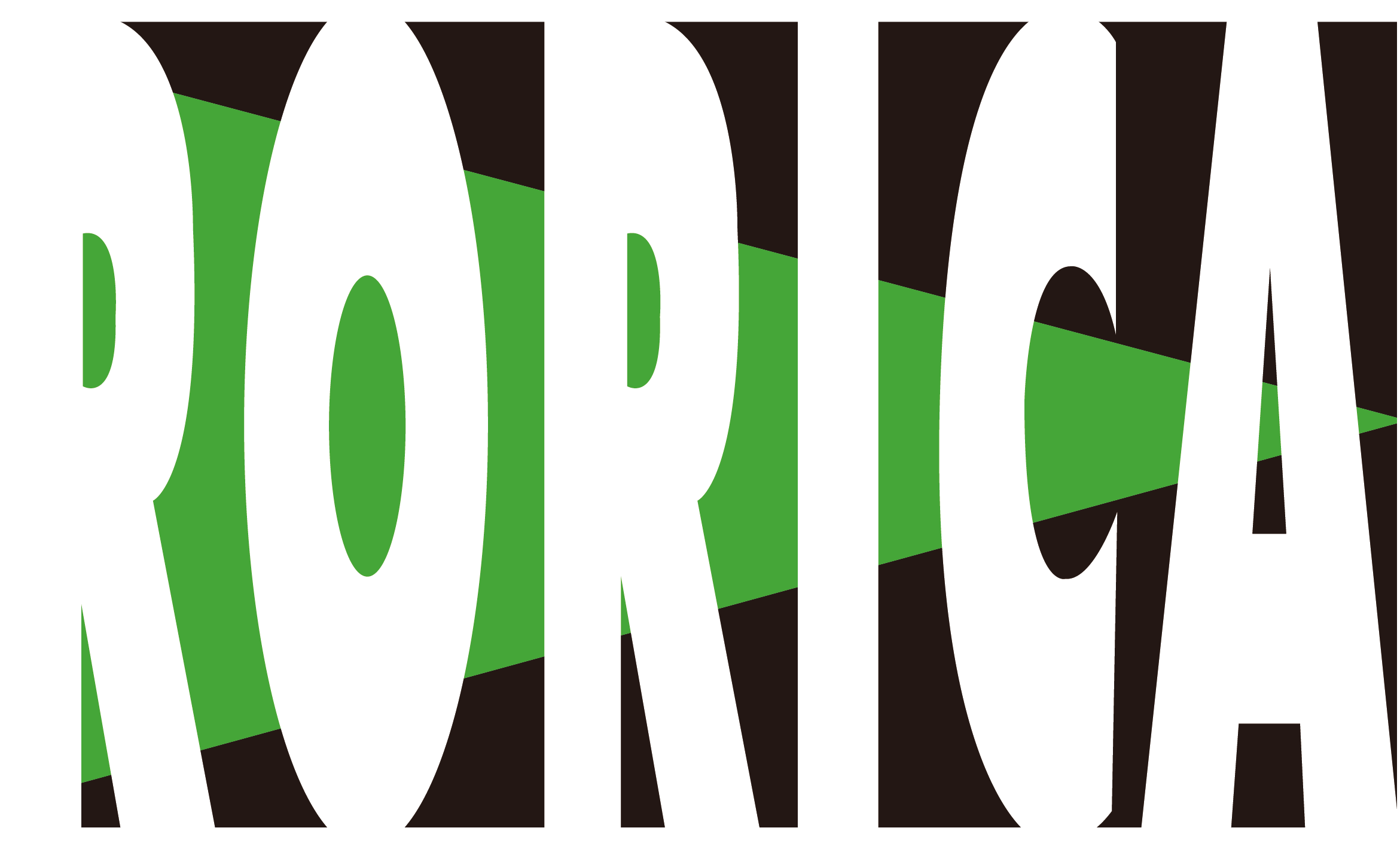 link01.jpg