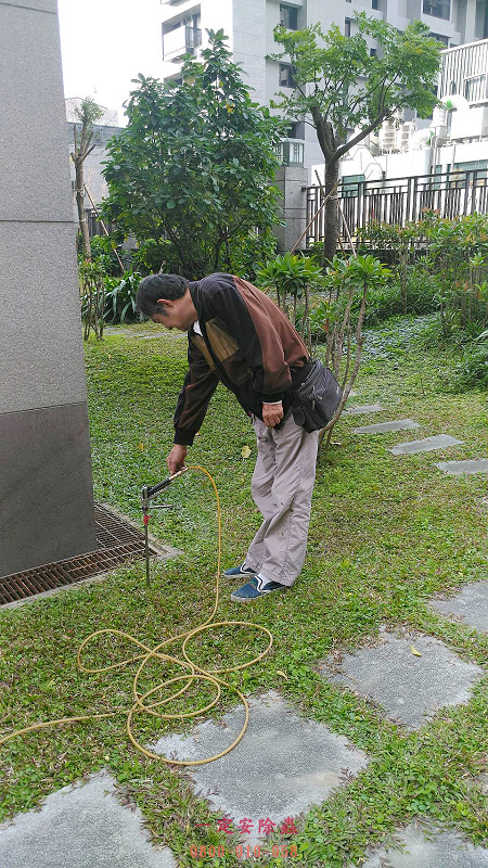 花圃除白蟻消毒除蟲.jpg