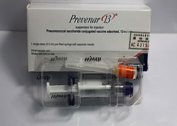 13-streptococcus.jpg