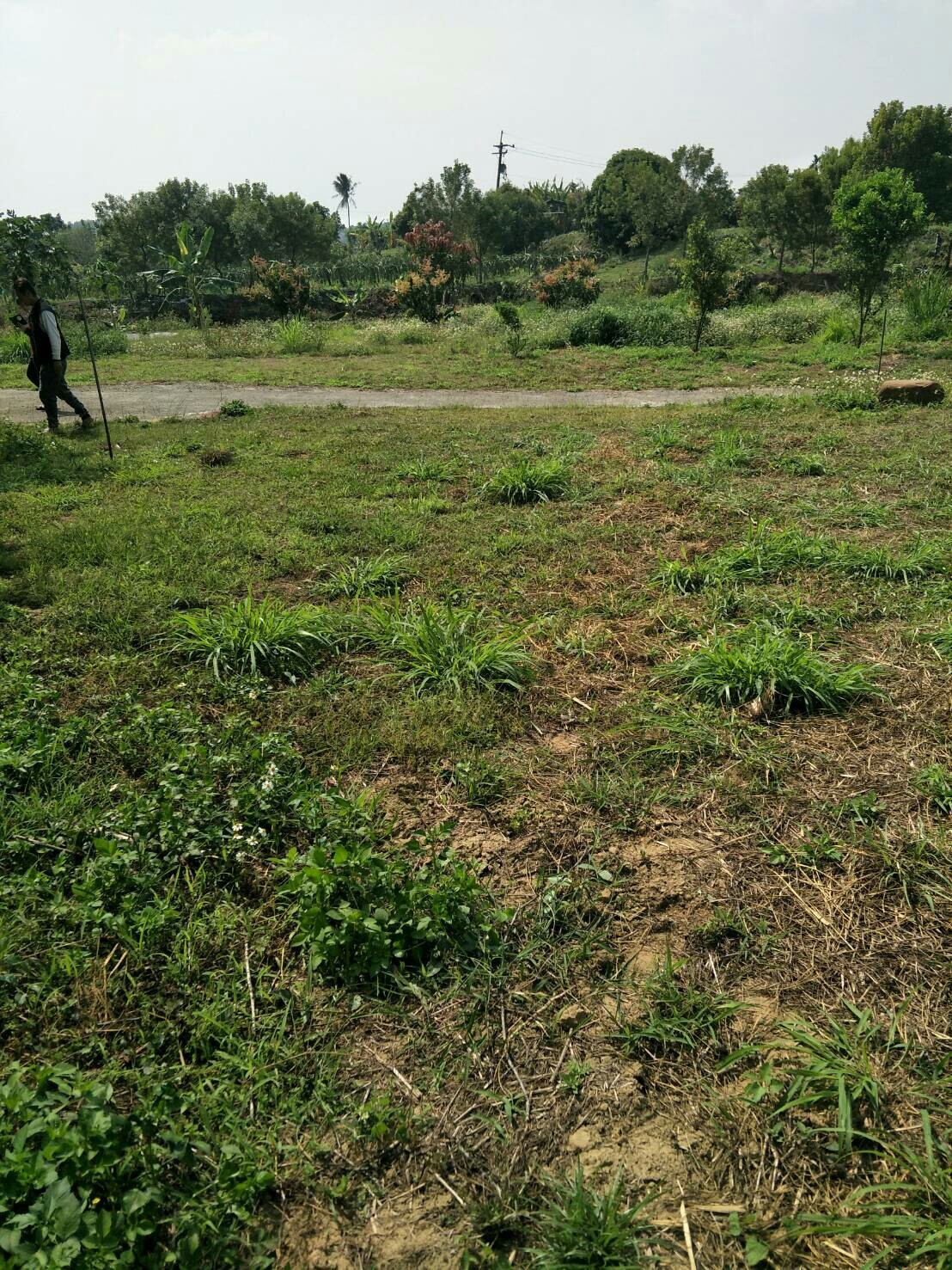 台南市大內區三崁里 新建農舍（施工中）_180503_0012.jpg