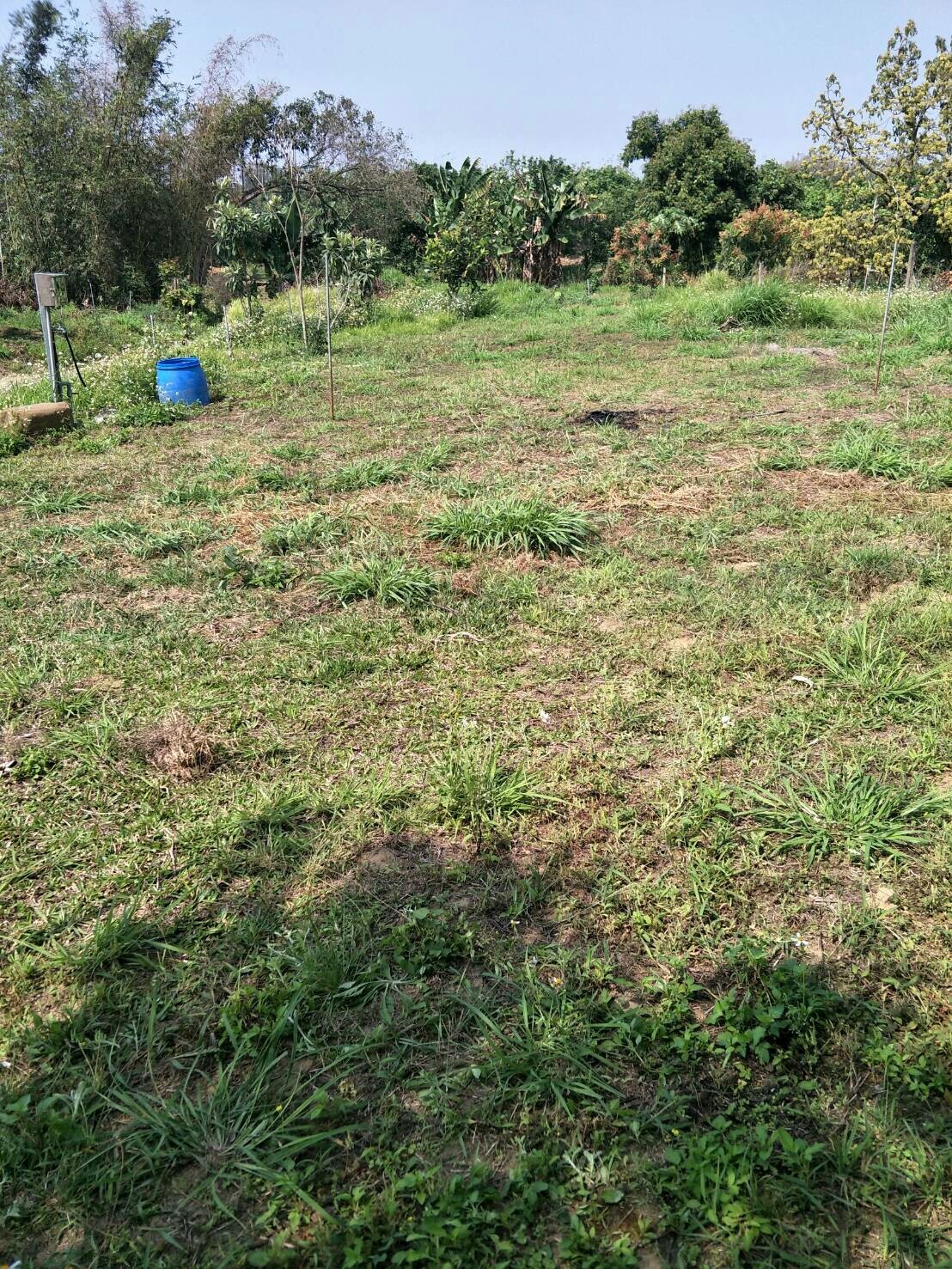 台南市大內區三崁里 新建農舍（施工中）_180503_0013.jpg