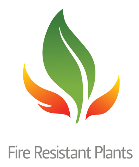 fire.png