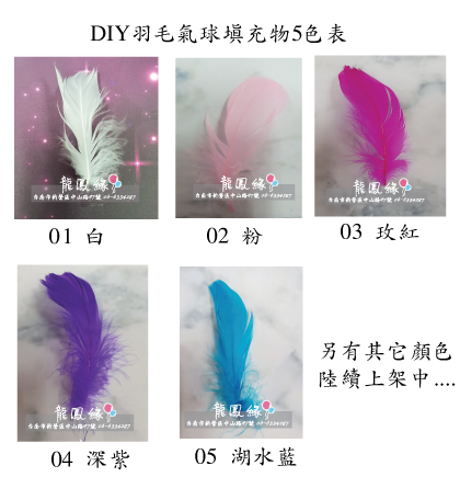 單支羽毛5色表.jpg