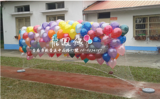 網子放飛-2.jpg