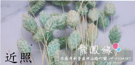 加娜莉(大)蒂芬妮藍近照.jpg