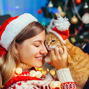 今年はぼっち確定なら？一人クリスマスを楽しむ5つの方法♪