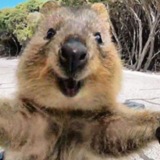 いろんな表情にキュン♡「動物のいる暮らし」が最高の癒し