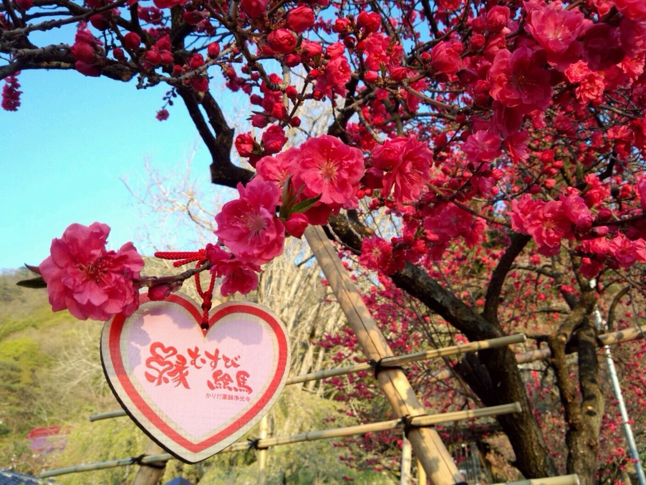 「ハピキラこんぺいとう」で日本のファンを世界中につくっちゃおう♡　写真12