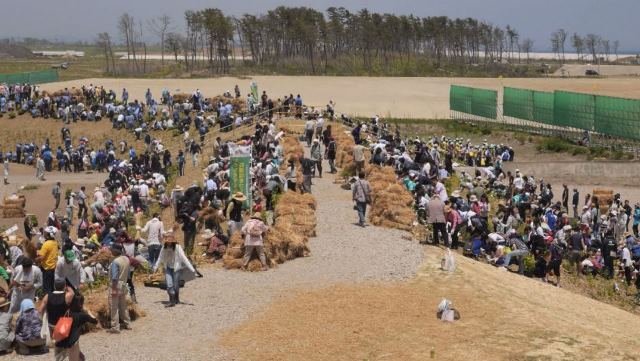 植樹の神様・宮脇昭氏がいよいよ福島へ　
１０月６日南相馬市植樹祭撮影プロジェクト 写真４