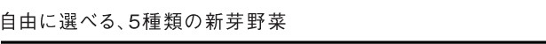 自由に選べる、5種類の新芽野菜