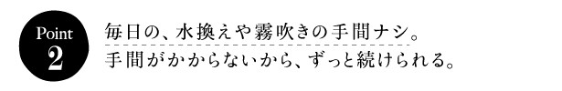 []ポイント２]毎日の、水換えや霧吹きの手間ナシ。手間がかからないから、ずっと続けられる。