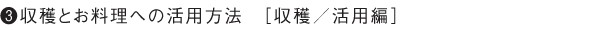 ３.収穫とお料理への活用方法［収穫／活用編］