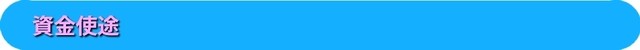 資金使途