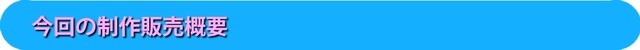 今回の制作販売概要