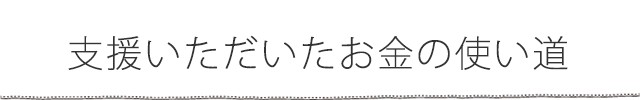 支援いただいたお金の使い道