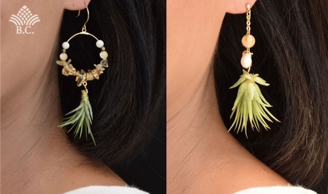 PLANT/PLANT ピアス Daisy Earrings | plant-plant