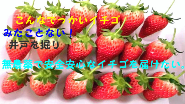 『女子力UP!手作りアクセ produced by 手作りガール』プロジェクト 画像