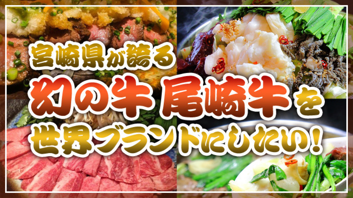 【1着オーナー募集】衣装不足のサンタさんを助ける衣装製作プロジェクトinネパール