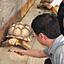 2909