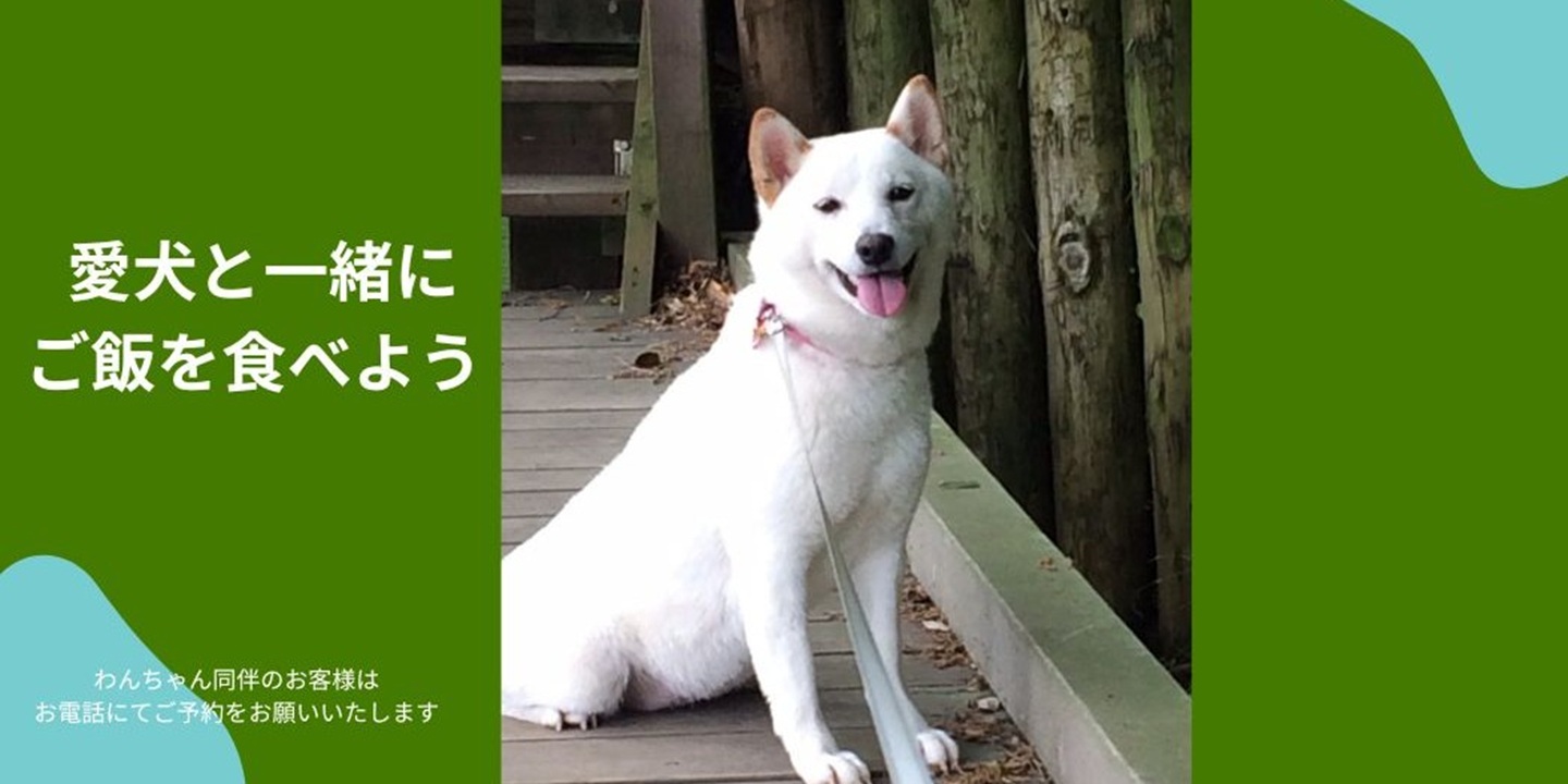 愛犬と一緒にご飯を食べよう