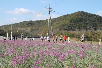 第39回鳥取砂丘らっきょう花マラソン大会&ウォーキング