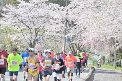 第64回 伊達ももの里マラソン