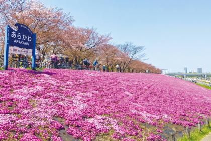 東京都北区赤羽さくらマラソン2026
