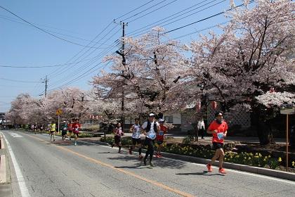 第43回甘楽町さくらマラソン