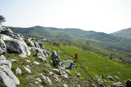 北九州・平尾台トレイルランニングレース2026