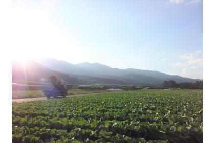 第39回やぶはら高原はくさいマラソン