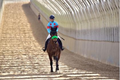 ノーザンホースパークマラソン2026 ONLINE