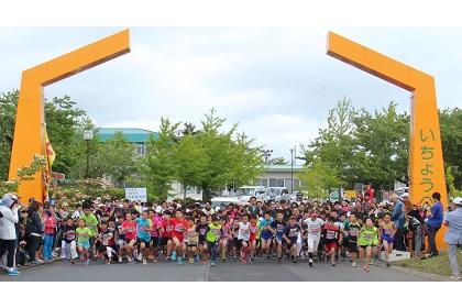 第41回おいらせ町いちょうマラソン