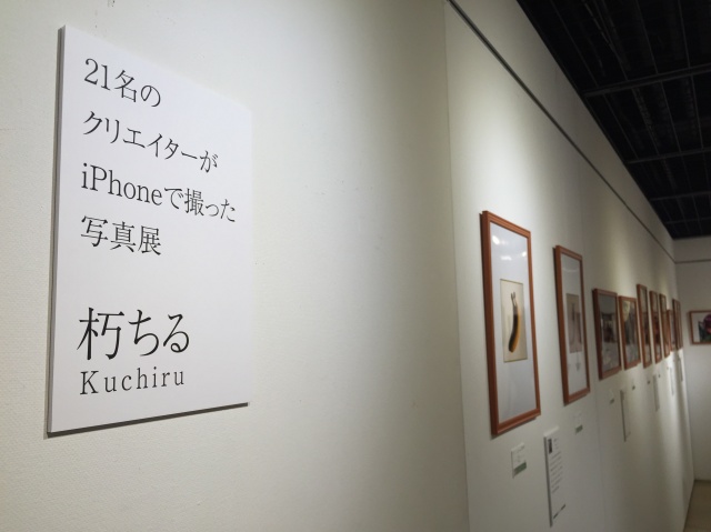 iPhone写真展⇒VRで立体ペイント⇒「宇宙ダンス」