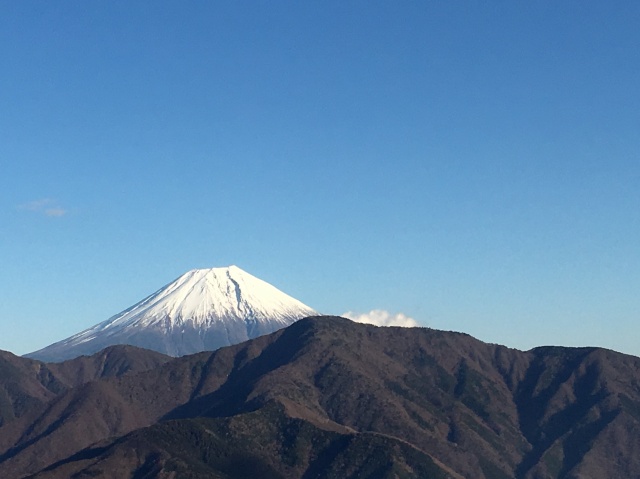 ギネスと世界遺産(大吉付き)