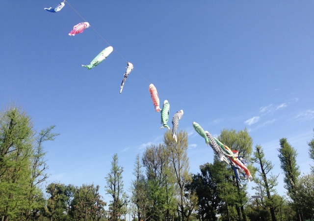青空を泳ぐ