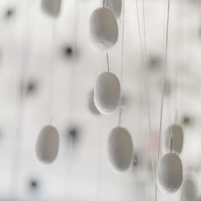 Nobuyuki Matsui Exhibition and installations
