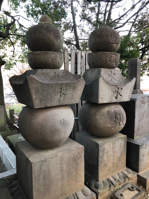 「野生さんぽ」で六本木の縄文へ