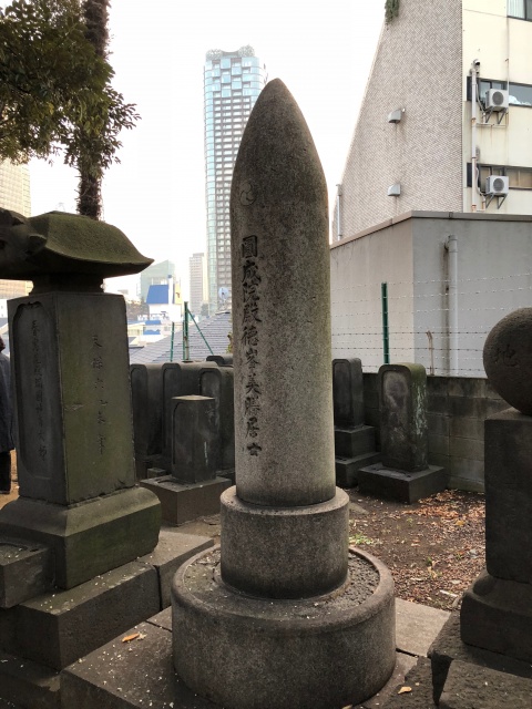 「野生さんぽ」で六本木の縄文へ