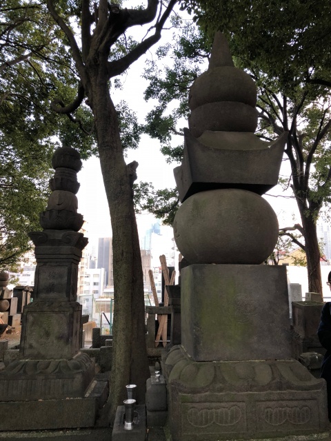 「野生さんぽ」で六本木の縄文へ