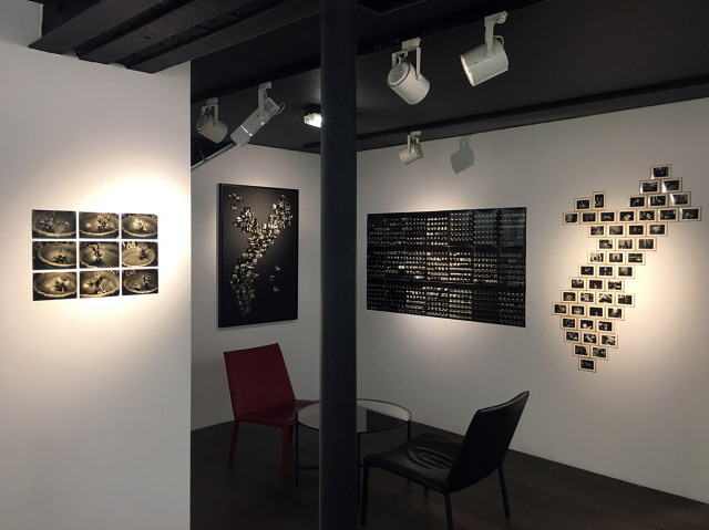 パリでの展覧会『Terre des îles』